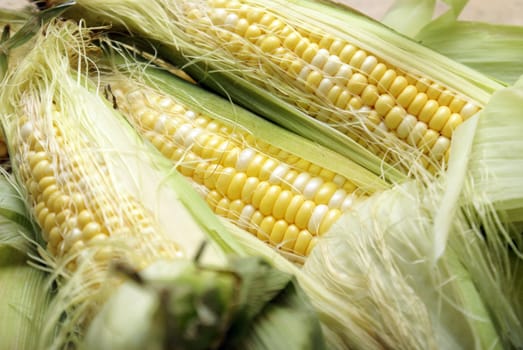 A macro of a few cobs of corn.