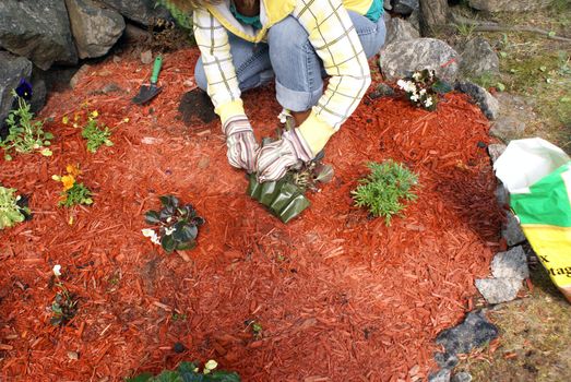 A gardener opens the flowers case to begin planting.