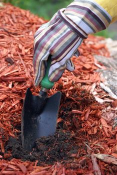 A gardener prepares the soil before planting.