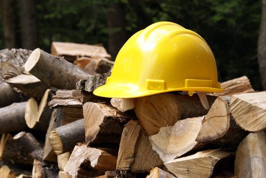 It's better safe than sorry when your in the forest cutting trees down, thus the hard hat on the woodpile.