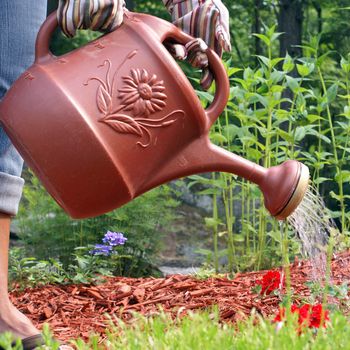 A gardener waters the flowers in her garden.