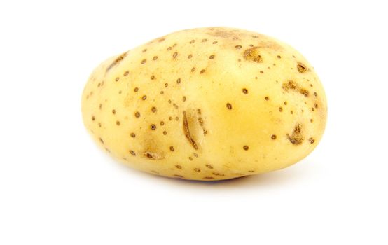 Whole ripe Potato isolated on a white background