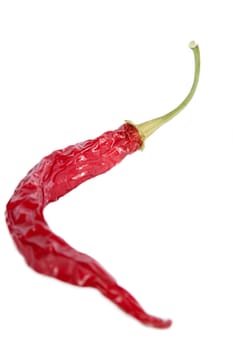 A dry red hot chilli pepper isolated on white with clipping path.