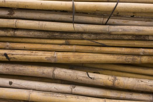 it is a close up of bamboo for background