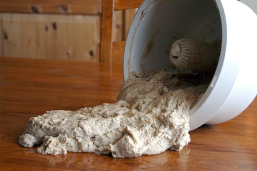 wholemeal dough