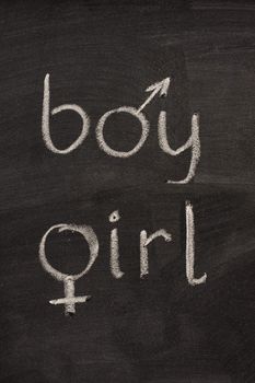 boy and girl words with gender symbols (mars, venus) handwritten with white chalk on blackboard