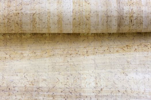 roll of papyrus paper with rough texture
