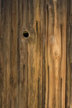 weathered wood of old barn wall with nails, staple and knothole