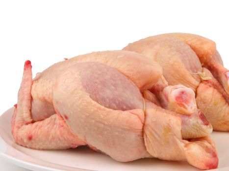 Fresh raw Chicken