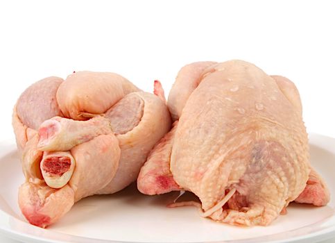 Fresh raw Chicken