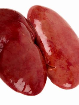 Pig kidney. Close up on white background