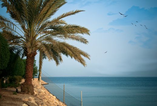 A high-resolution image of a beautiful seascape found in al-Khobar, Saudi Arabia.