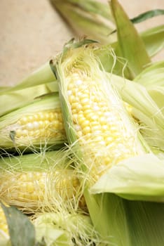 A macro of a few cobs of corn.