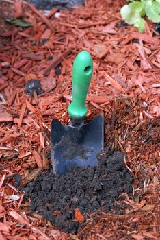 A garden shovel is left stuck in the dirt.