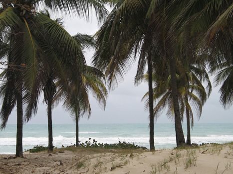 tropical ocean view