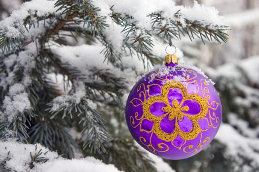 Violet christmas glass ball hanging on the tree in snow.