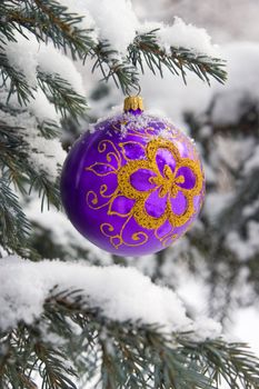 Violet christmas glass ball hanging on the tree in snow.