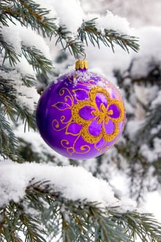 Violet christmas glass ball hanging on the tree in snow.