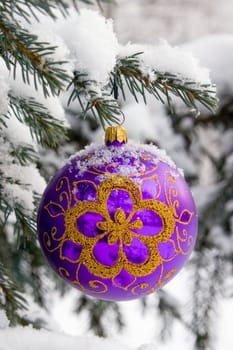 Violet christmas glass ball hanging on the tree in snow.