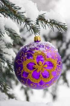 Violet christmas glass ball hanging on the tree in snow.
