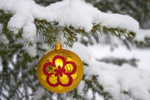 Yellow christmas glass ball hanging on the tree in snow.