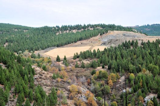 Spreading straw on a Sierra hillside to control erosion before the winter rains