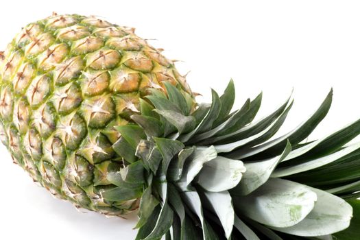 Close up of a fresh pineapple on bright background