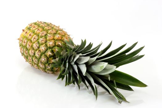 Close up of a fresh pineapple on bright background