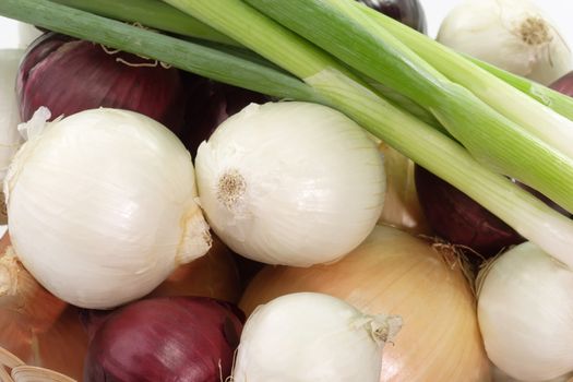 Yellow, white, red, and green onions.