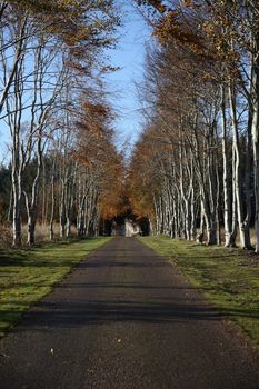 A path leading to Brodie Castle, Scotland.