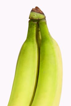 Two unripe green bananas - isolated on white background