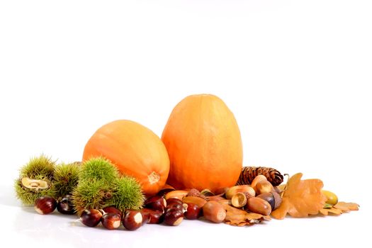 Autumnal decoration with different fruits on bright background