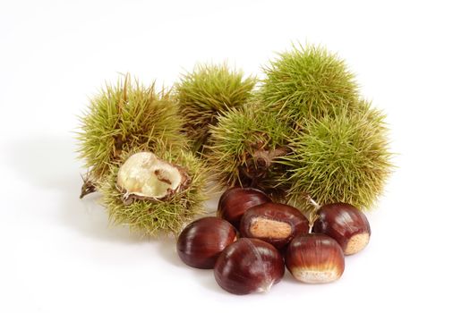 Heap of sweet chestnuts with capsules on bright background