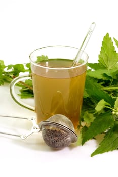 
Herbal tea with fresh stinging nettle