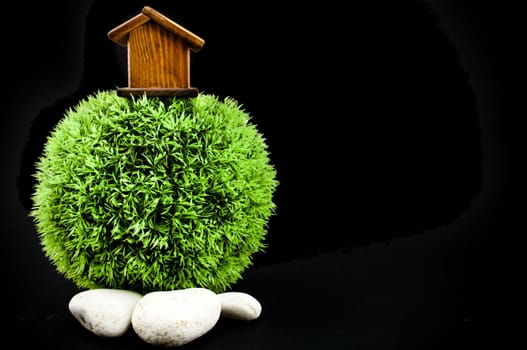 Wooden house on evergreen world with white stones