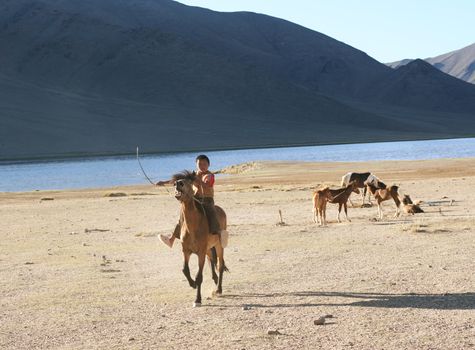 Mongolian boy racing on a horse- August 06, 2008. Mongolia