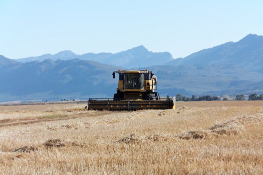 Combine harvester on a large field. In the background are mountains to see