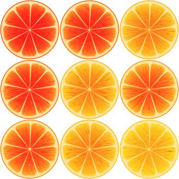 nine oranges in different tones isolated over white, illustration