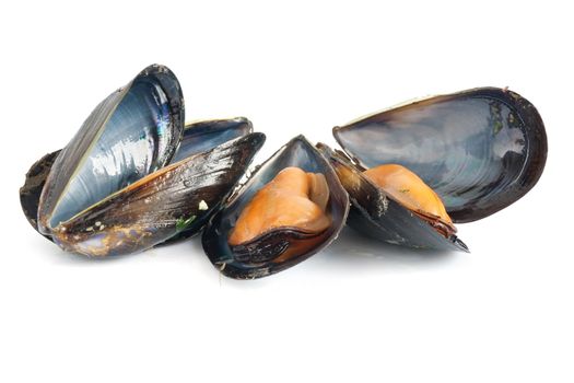 three mussels boiled with garlic isolated on white background