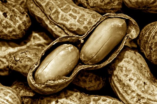Macro photograph of an exposed peanut sitting on top of other peanuts