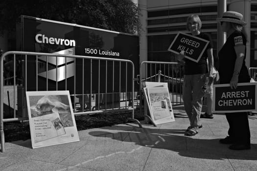 Protesters at the Rainforest Coalitions protest at the annual Chevron board meeting.