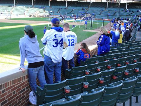 Cubs fans watch their heroes take batting practice before an early spring baseball game