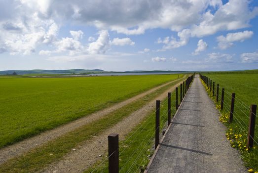 sandy road and footpath vanishing in the distance in a flat landscape