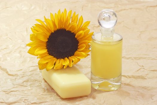 Bath lotion with sunflower on brown background