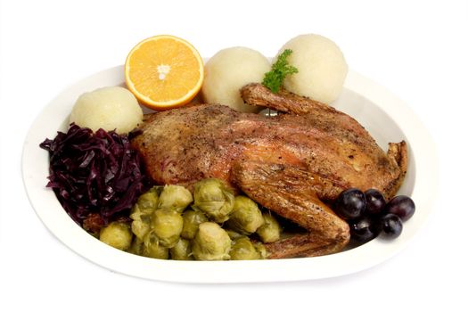 Roasted duck dinner on bright background