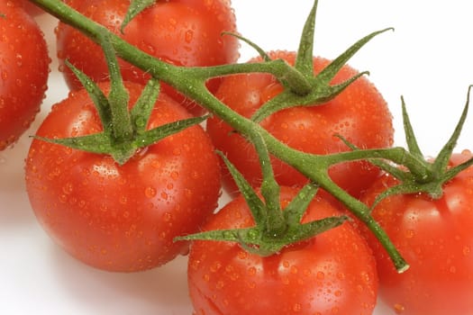 Fresh tomatoes on bright background