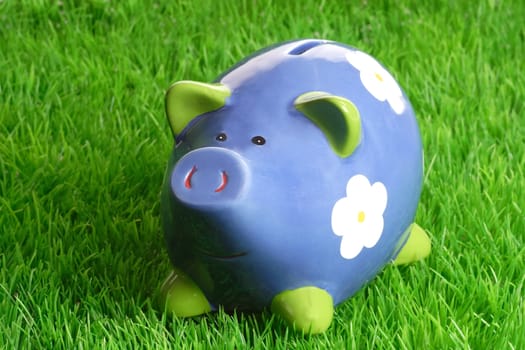 Decorativ piggy bank on green grass background