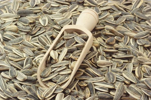 Sunflower seeds on a bright background