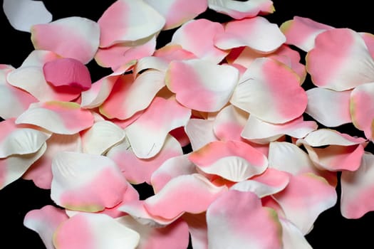 artificial pink and white petals on black
