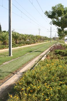 flowers nature and transportation electric railway with grass and plants environmental friendly